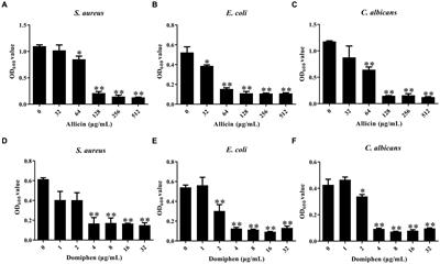 The combination of allicin with domiphen is effective against microbial biofilm formation